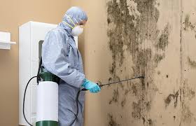 Professional Mold Inspection in Hastings, NE